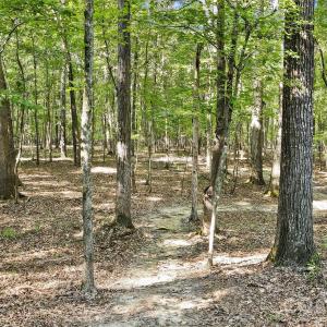 Photo #3 of Lot 2 Indian Trail Fairview, Indian Trail, NC