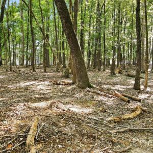 Photo #2 of Lot 3 Indian Trail Fairview, Indian Trail, NC