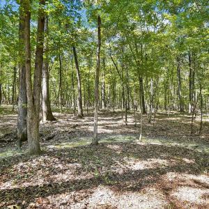 Photo #4 of Lot 3 Indian Trail Fairview, Indian Trail, NC