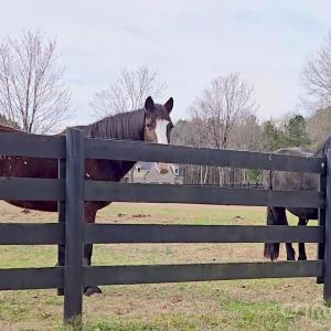 Photo #10 of Lot 43 Old Charlotte Hwy, York, SC