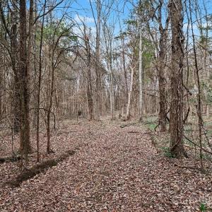 Photo #2 of 1204 Shalimar, Concord, NC