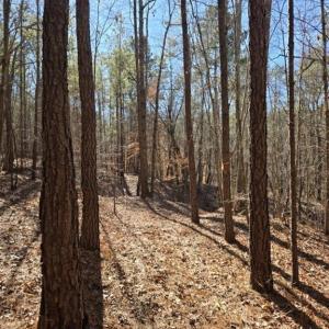 Photo #5 of 109 NC Highway 109, Wadesboro, NC