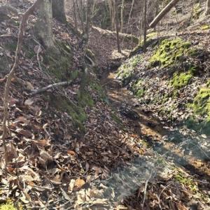 Photo #7 of 109 NC Highway 109, Wadesboro, NC