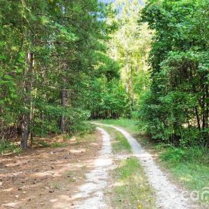 Photo #4 of 109 NC Highway 109, Wadesboro, NC