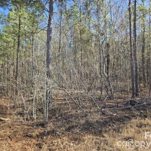 Photo #6 of 109 NC Highway 109, Wadesboro, NC