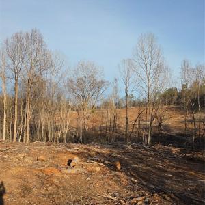 Photo #17 of VACANT LAND Pole Running, Mount Pleasant, NC