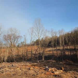 Photo #1 of VACANT LAND Pole Running, Mount Pleasant, NC