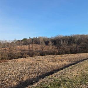 Photo #6 of VACANT LAND Pole Running, Mount Pleasant, NC