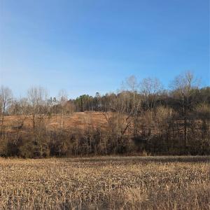 Photo #14 of VACANT LAND Pole Running, Mount Pleasant, NC