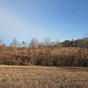Photo #15 of VACANT LAND Pole Running, Mount Pleasant, NC