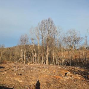 Photo #18 of VACANT LAND Pole Running, Mount Pleasant, NC