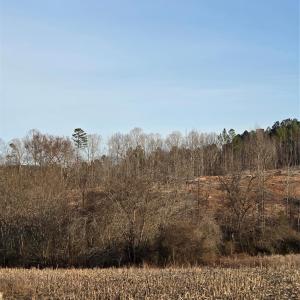 Photo #4 of VACANT LAND Pole Running, Mount Pleasant, NC