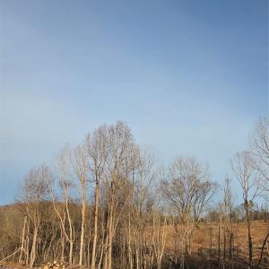 Photo #21 of VACANT LAND Pole Running, Mount Pleasant, NC