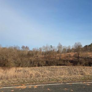 Photo #10 of VACANT LAND Pole Running, Mount Pleasant, NC