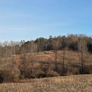 Photo #3 of VACANT LAND Pole Running, Mount Pleasant, NC