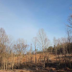 Photo #19 of VACANT LAND Pole Running, Mount Pleasant, NC