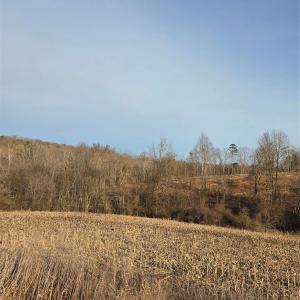 Photo #16 of VACANT LAND Pole Running, Mount Pleasant, NC