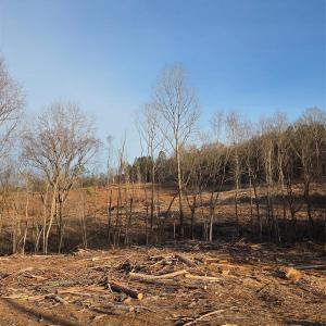 Photo #2 of VACANT LAND Pole Running, Mount Pleasant, NC