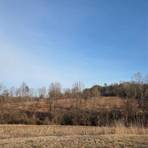 Photo #13 of VACANT LAND Pole Running, Mount Pleasant, NC