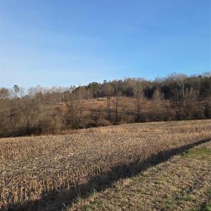 Photo #5 of VACANT LAND Pole Running, Mount Pleasant, NC