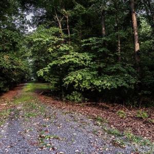 Photo #1 of 12388 Hartwood, Midland, NC