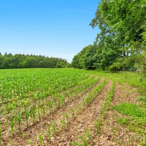 Photo #25 of Lucy Short Cut, Marshville, NC