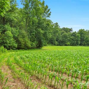 Photo #10 of Lucy Short Cut, Marshville, NC