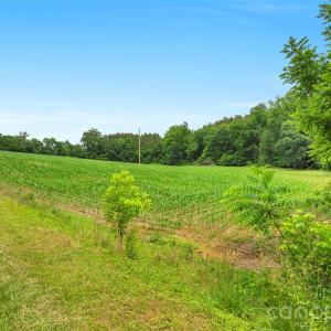 Photo #2 of Lucy Short Cut, Marshville, NC