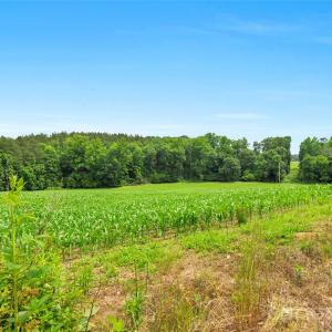 Photo #22 of Lucy Short Cut, Marshville, NC