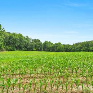 Photo #7 of Lucy Short Cut, Marshville, NC