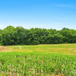Photo #30 of Lucy Short Cut, Marshville, NC