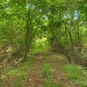 Photo #21 of Lucy Short Cut, Marshville, NC