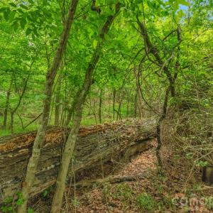 Photo #13 of Lucy Short Cut, Marshville, NC