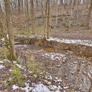 Photo #9 of 18613 Newsome, Oakboro, NC