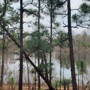 Photo #21 of 650 Farmers Market, Biscoe, NC