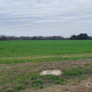 Photo #6 of 650 Farmers Market, Biscoe, NC