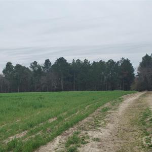 Photo #13 of 650 Farmers Market, Biscoe, NC