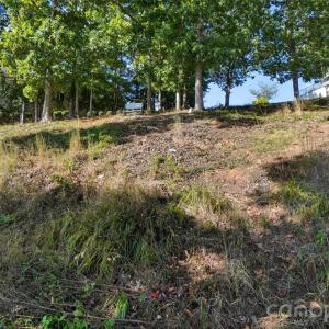 Photo #12 of 3708 Rivergrass, York, SC