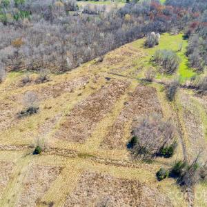 Photo #7 of 2548 Gordon, Rock Hill, SC