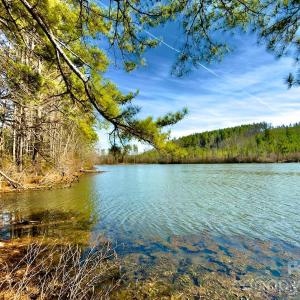 Photo #47 of 1347 Newsome, Denton, NC