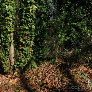 Photo #3 of Todd, Concord, NC