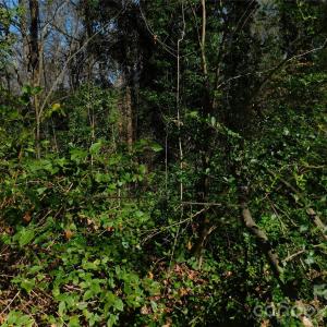 Photo #2 of Todd, Concord, NC