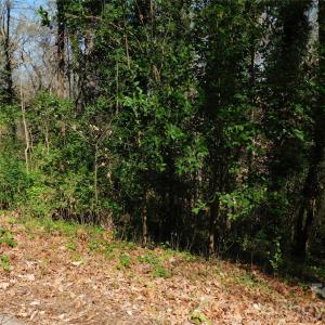 Photo #5 of Todd, Concord, NC