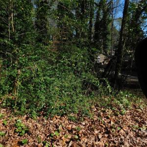 Photo #1 of Todd, Concord, NC