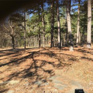 Photo #3 of 3279 Ebenezer Church, Camden, SC