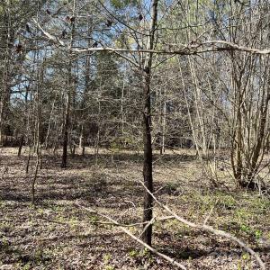 Photo #20 of 8334 Victoria Lake, Waxhaw, NC