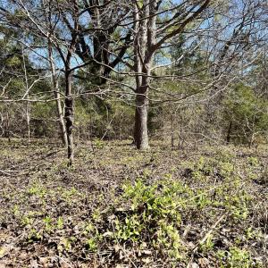 Photo #17 of 8334 Victoria Lake, Waxhaw, NC