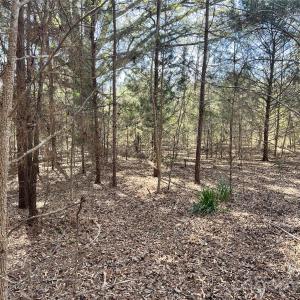 Photo #16 of 8334 Victoria Lake, Waxhaw, NC