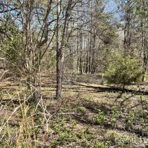 Photo #23 of 8334 Victoria Lake, Waxhaw, NC