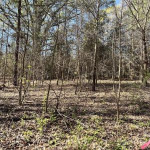 Photo #11 of 8334 Victoria Lake, Waxhaw, NC